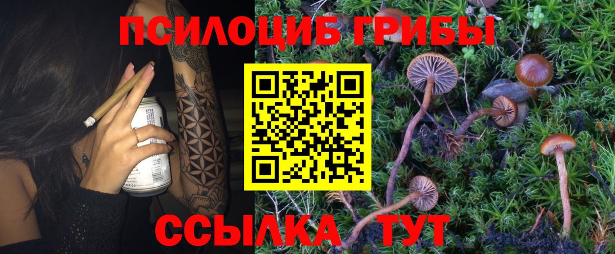 Галлюциногенные грибы мухоморы  купить наркотик  Тимашёвск  Вход с VPN 